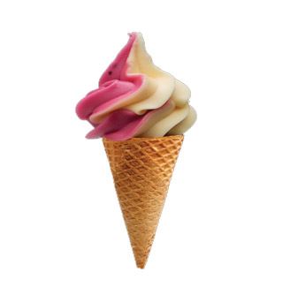 Vegan sorbet made with Monalisa powder served in a cone